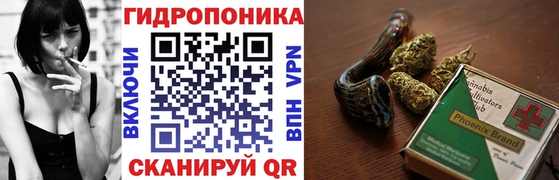 ссылка на мегу маркетплейс  Полесск  Конопля индика 